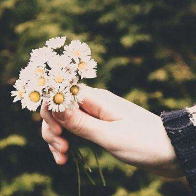 BOB体育最新版本下载