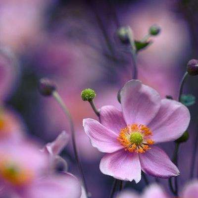 开云(中国)Kaiyun