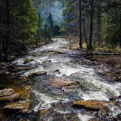 今天买什么特马下载手机版