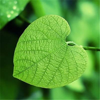 b体育官方APP下载安装截图